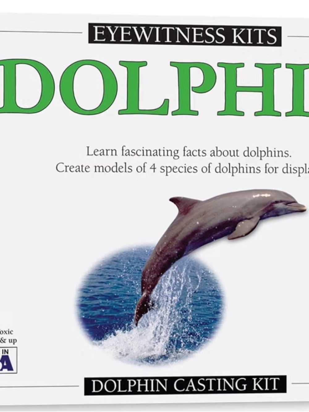 Dolphin Art Print - White & Green